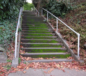 Galer Stairway West