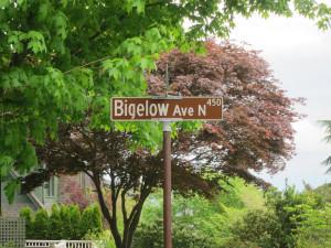 Bigelow Street Sign