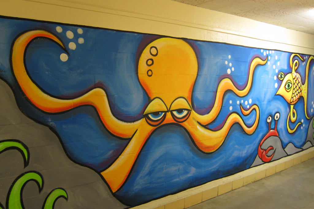Henry QACC Octopus